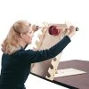 Shoulder Exercise Ladder -performancehealth shop 081032010.main